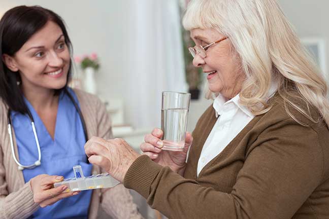 Nourishment and Caregiver Services: Pillars of Senior Well-being
