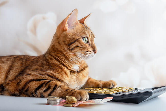 6. Allow you to budget pet care cost more easily
