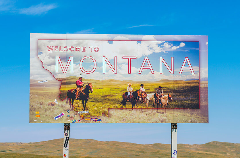Free Government Cell Phone Service - Montana - EASY Wireless