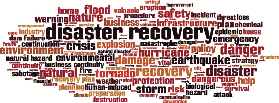 Government Assistance Programs for Disaster Recovery