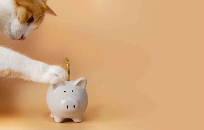 How much does pet insurance cost 