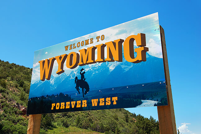 How to Get Fast, EASY & Free Government Smartphones in Wyoming - EASY Wireless