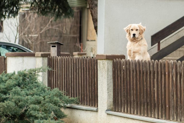 Home Security For Low Income Families