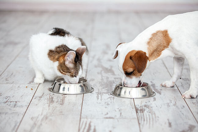 What is a Pet Pantry?
