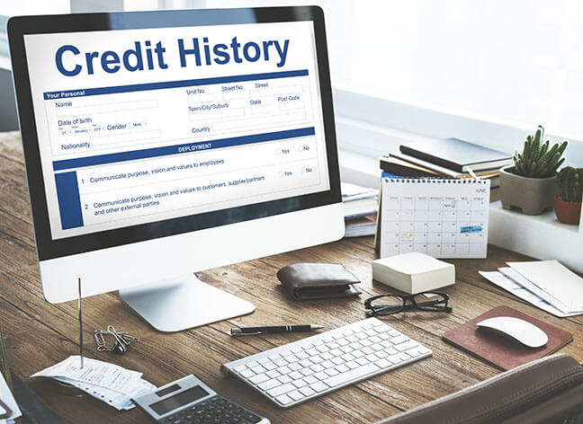 Your Payment History 