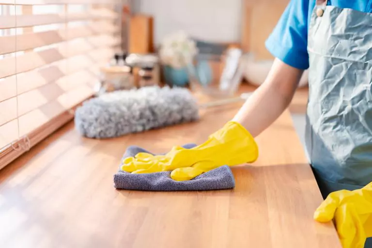 Government Programs Offering Free House Cleaning for Seniors​