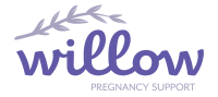 Willow Pregnancy